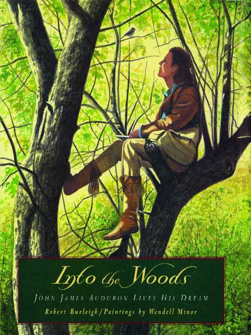 Cover image for Into the Woods